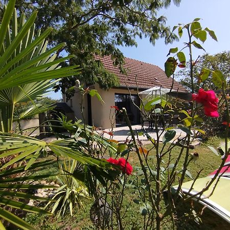 L'Albizia Gite Climatise St Maurice Saint-Maurice-en-Riviere Eksteriør bilde